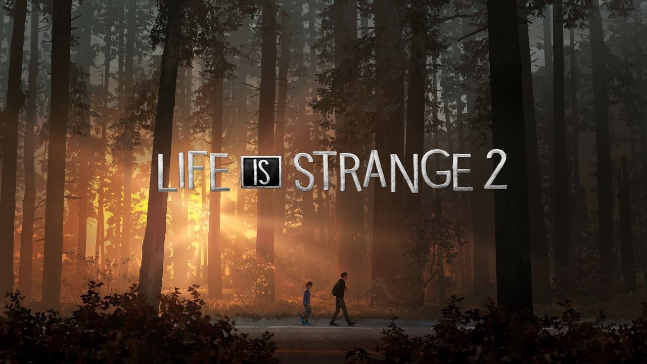 Life is Strange 2 купить ключ Steam