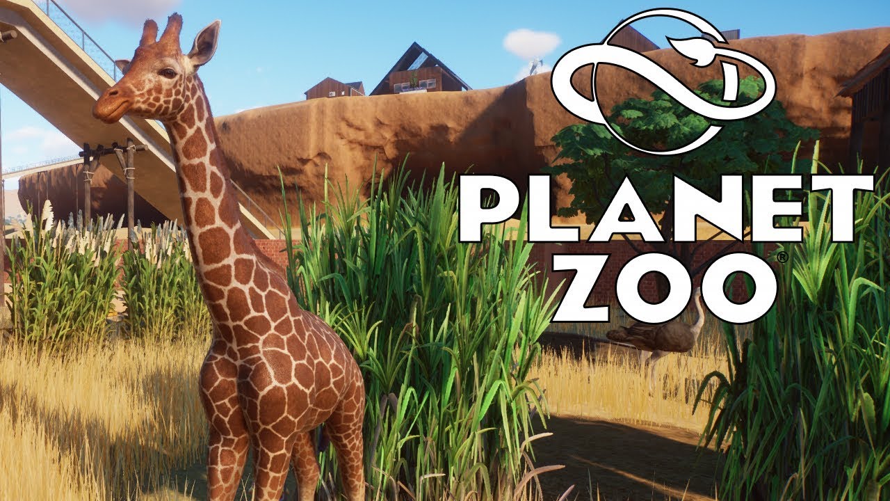 Planet Zoo купить ключ Steam