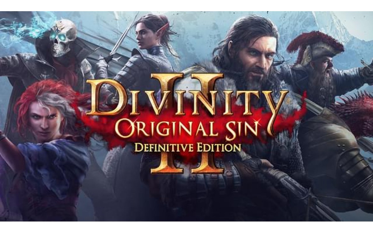 Divinity: Original Sin 2 - Definitive Edition купить ключ Steam