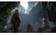 Rise of the Tomb Raider купить ключ Steam